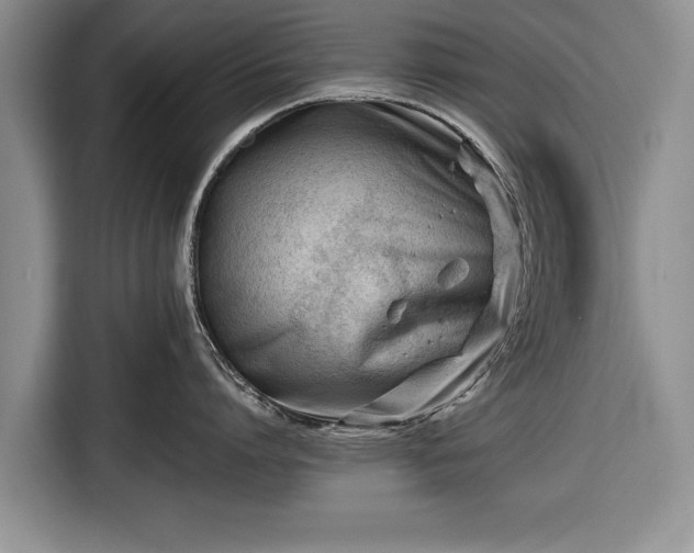 X0000116640864200912211001