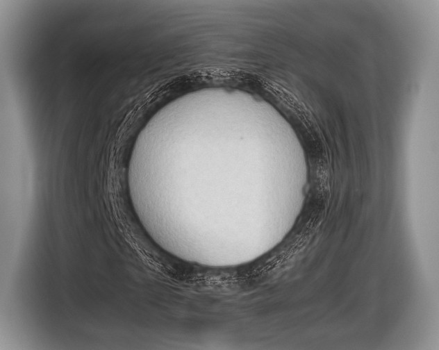 X0000116640865200912211000