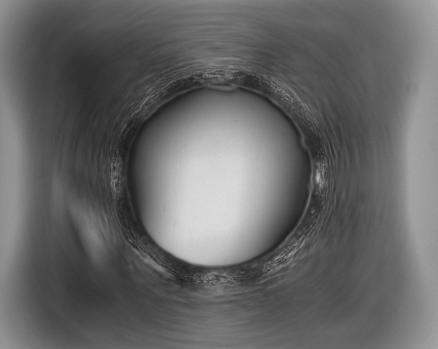 X0000116640867200912211000