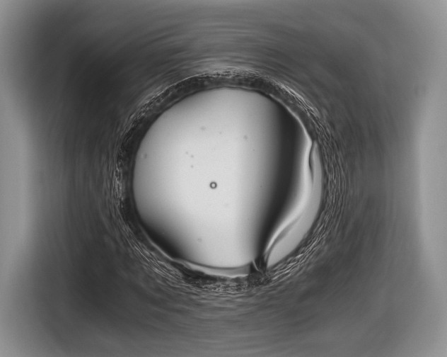 X0000116640869200912211000