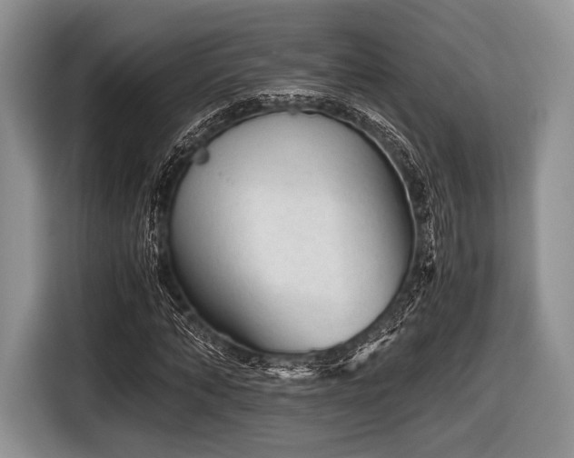 X0000116640870200912211000