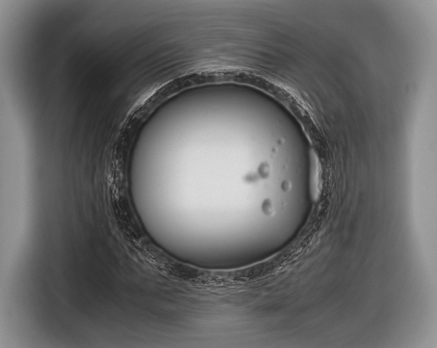 X0000116640871200912211000