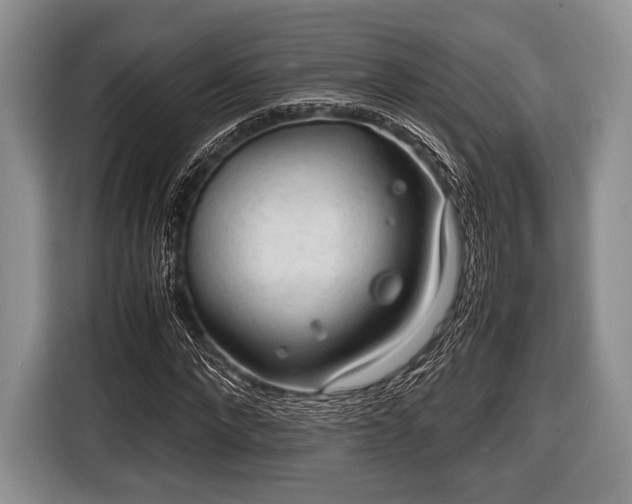 X0000116640872200912211000