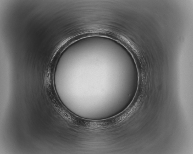 X0000116640875200912211000