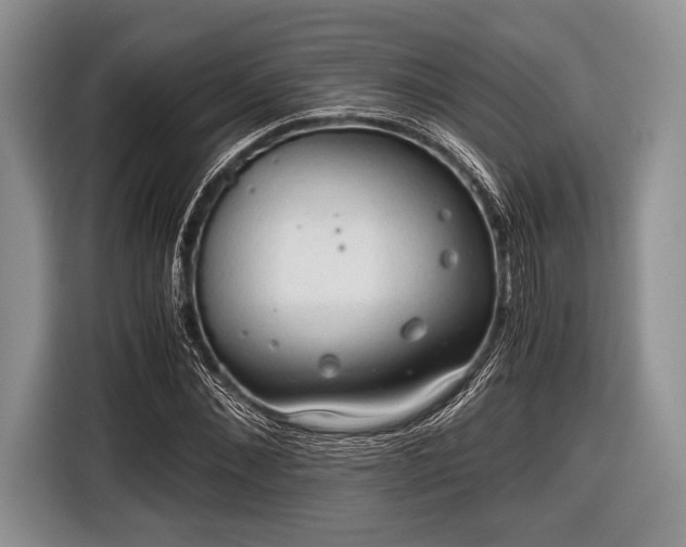 X0000116640876200912211000