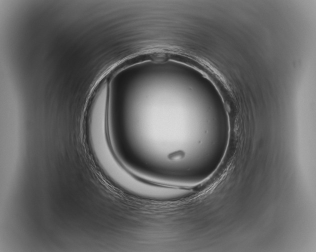 X0000116640877200912211000