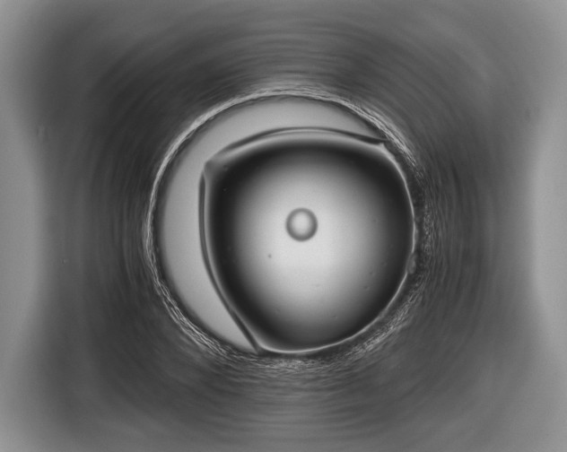 X0000116640880200912211000