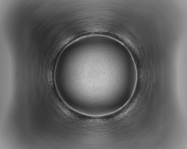 X0000116640881200912211000