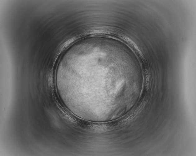 X0000116640882200912211000