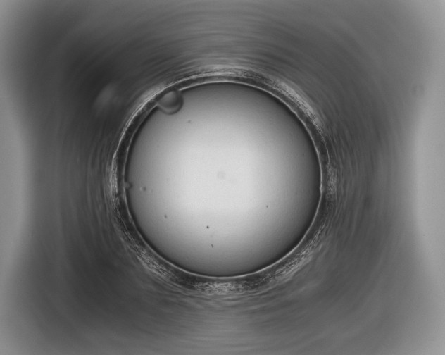 X0000116640883200912211000