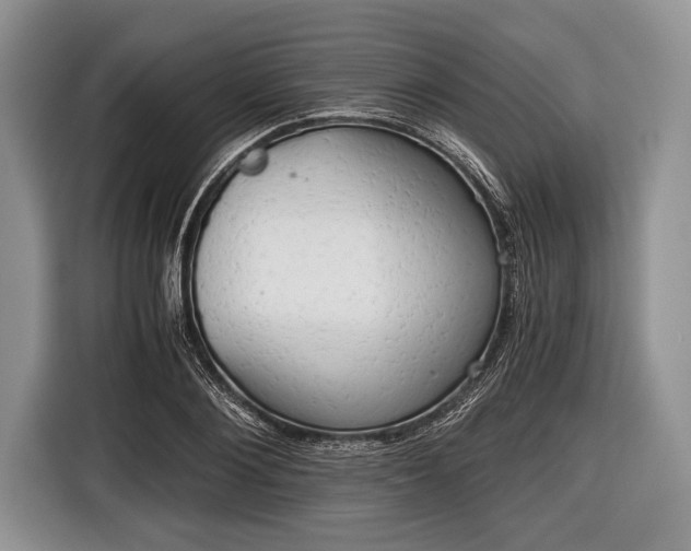 X0000116640884200912211000