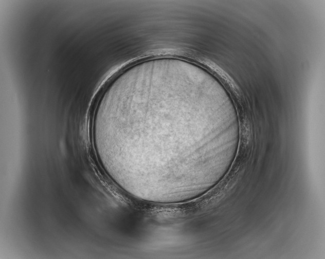 X0000116640886200912211000