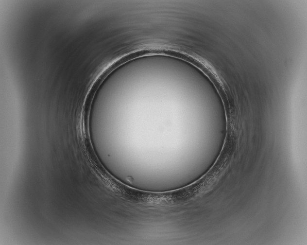 X0000116640887200912211000