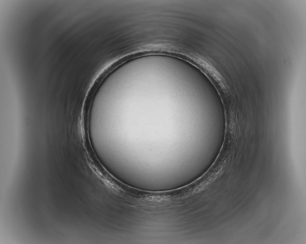 X0000116640888200912211000