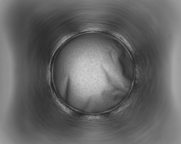 X0000116640890200912211000