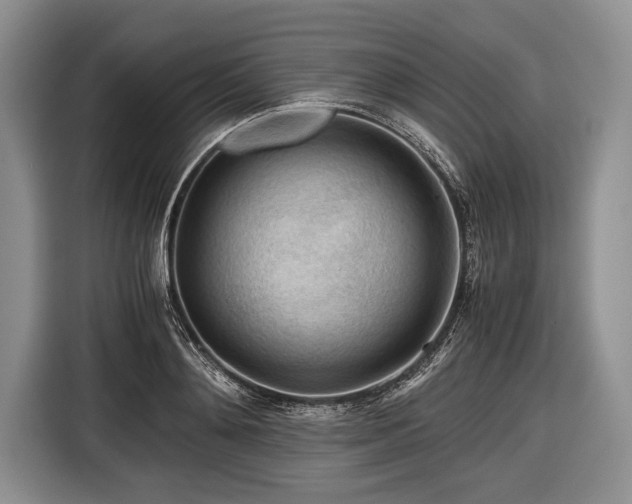 X0000116640892200912211000