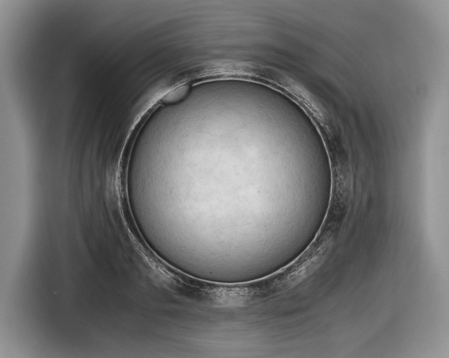 X0000116640893200912211000