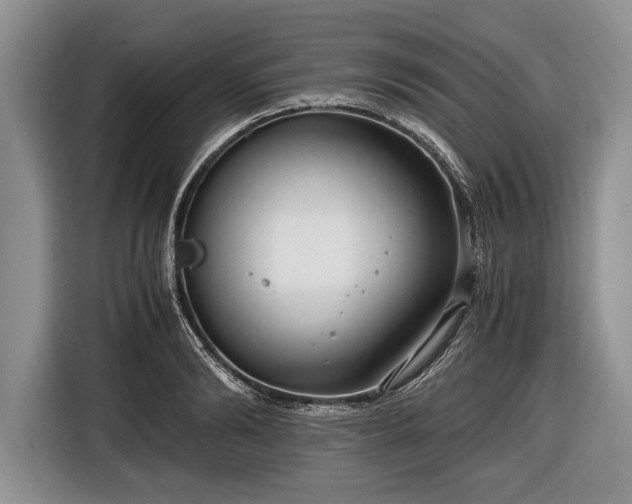 X0000116640894200912211000