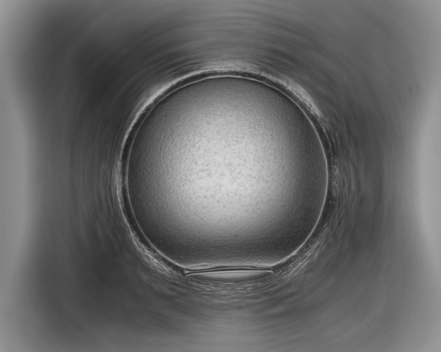 X0000116640895200912211000