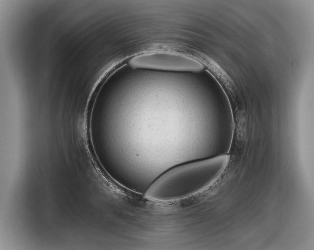 X0000116640896200912211000