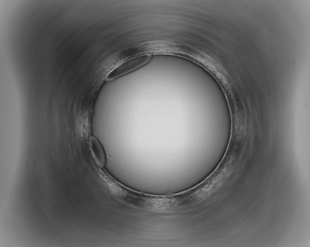 X0000116640897200912211000