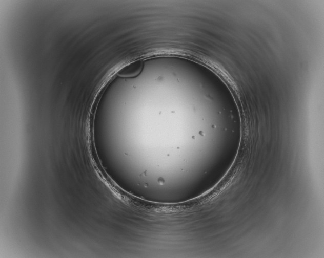 X0000116640898200912211000