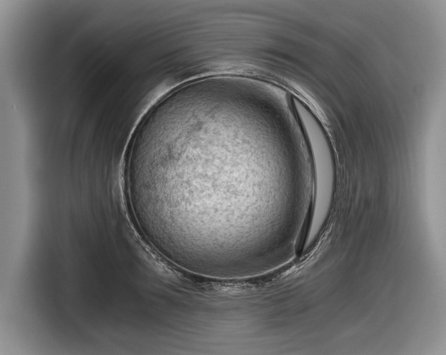 X0000116640899200912211000