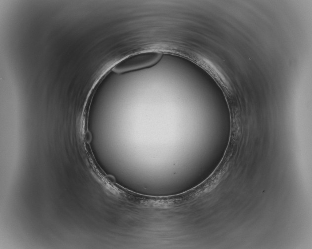 X0000116640900200912211000