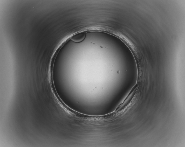 X0000116640902200912211000