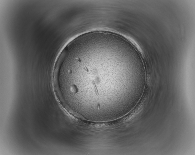 X0000116640903200912211000