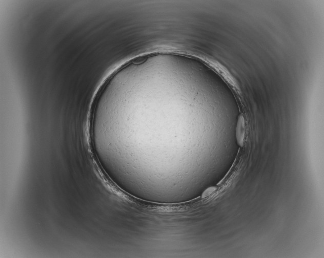 X0000116640904200912211000