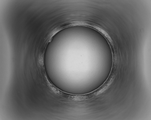 X0000116640905200912211000