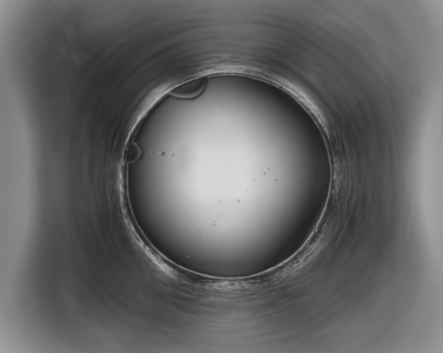 X0000116640906200912211000