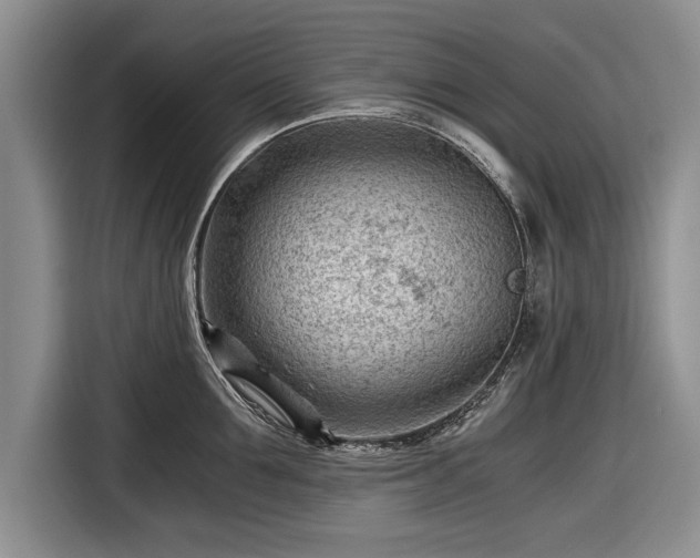 X0000116640907200912211000