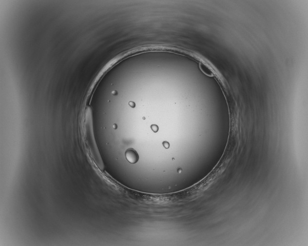 X0000116640911200912210959