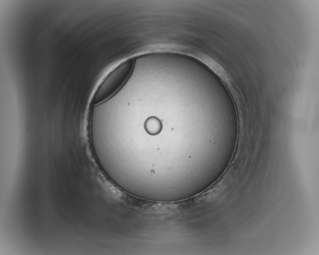 X0000116640912200912210959