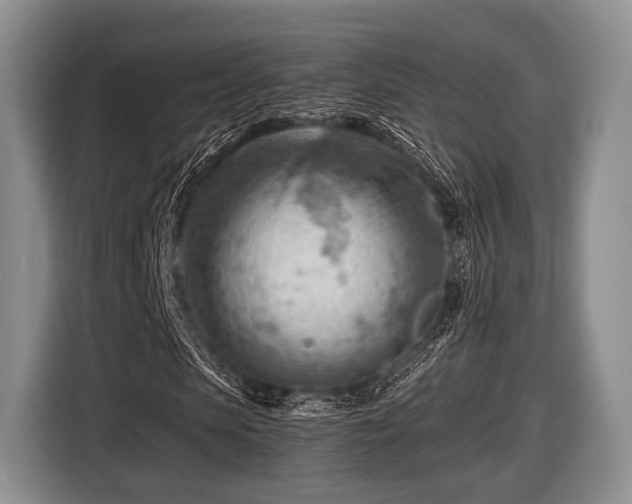 X0000116640913200912210959