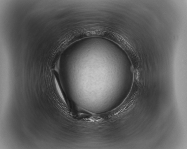 X0000116640915200912210959