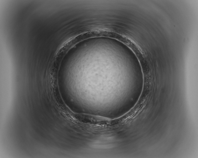 X0000116640919200912210959