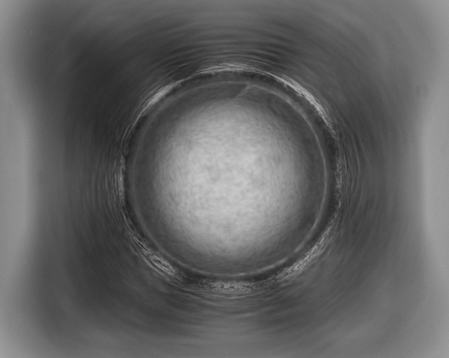 X0000116640921200912210959