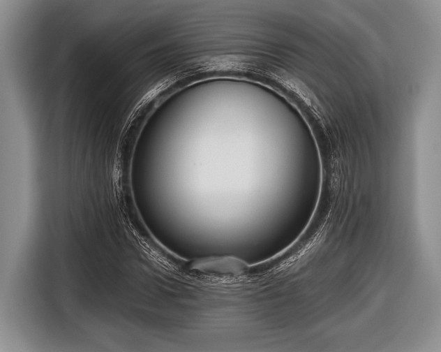 X0000116640922200912210959