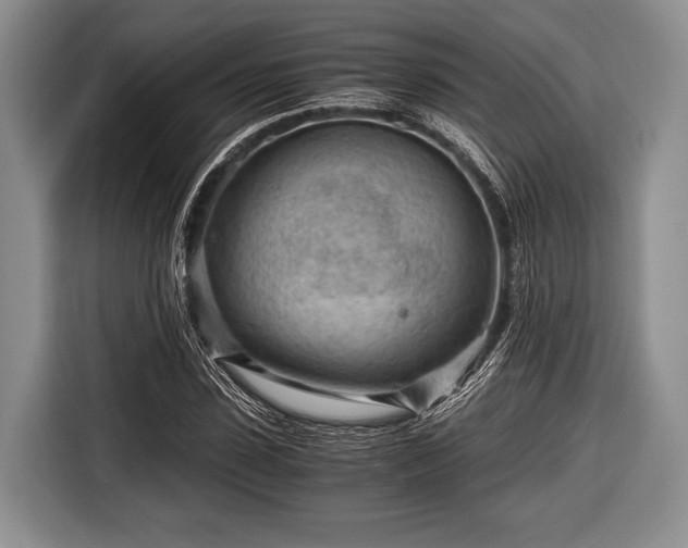 X0000116640923200912210959