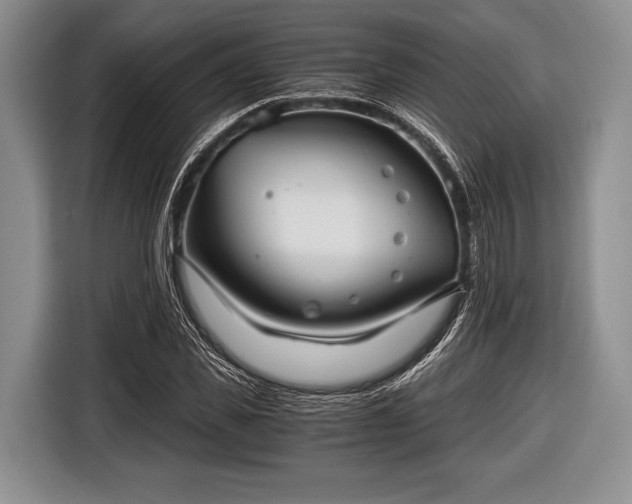 X0000116640925200912210959