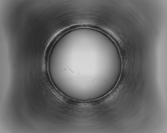 X0000116640927200912210959