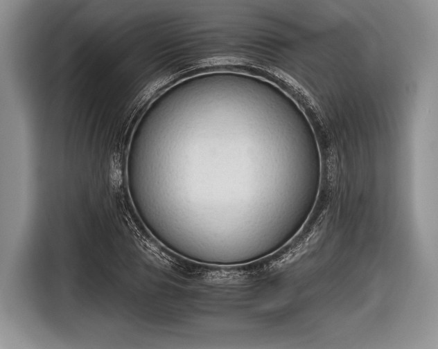 X0000116640929200912210959