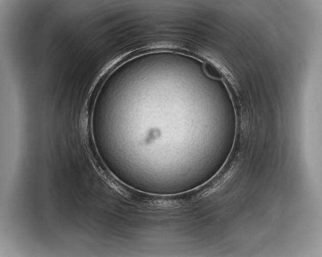 X0000116640933200912210959