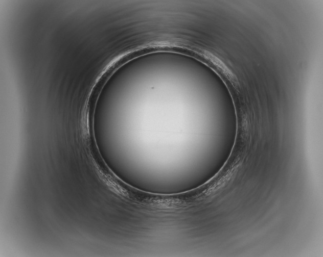 X0000116640934200912210959