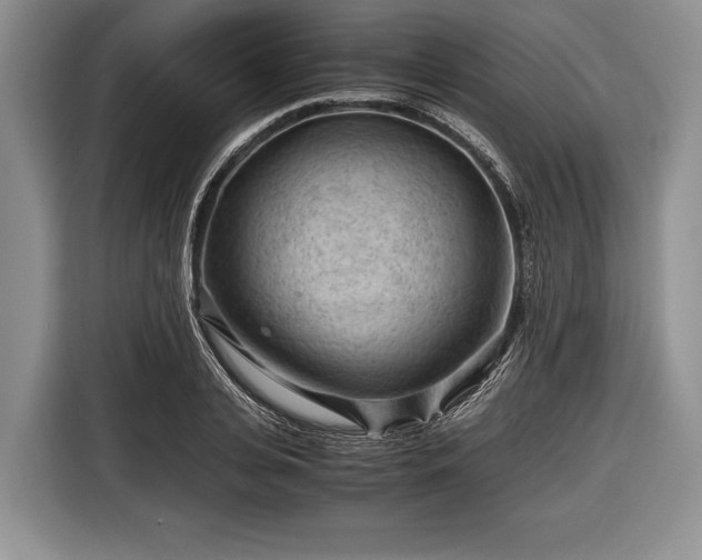 X0000116640935200912210959