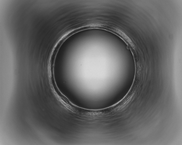 X0000116640939200912210959