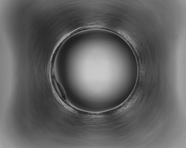 X0000116640941200912210959